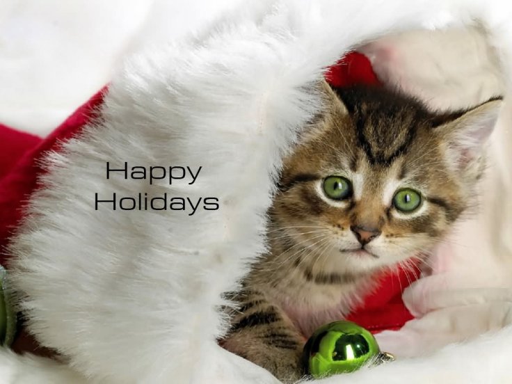 happy-holidays-cat-graphic-for-myspace
